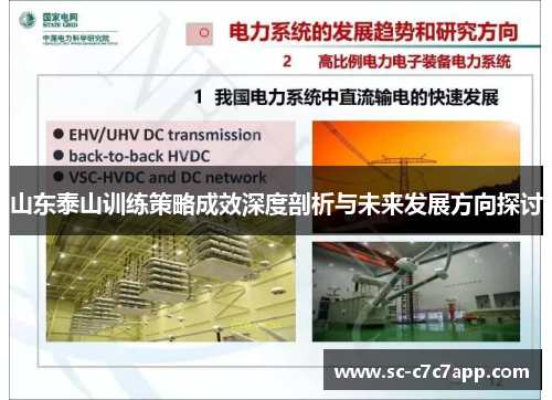 山东泰山训练策略成效深度剖析与未来发展方向探讨