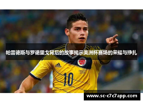 帕雷德斯与罗德里戈背后的故事揭示美洲杯赛场的荣耀与挣扎