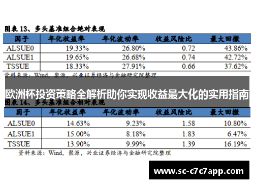 欧洲杯投资策略全解析助你实现收益最大化的实用指南